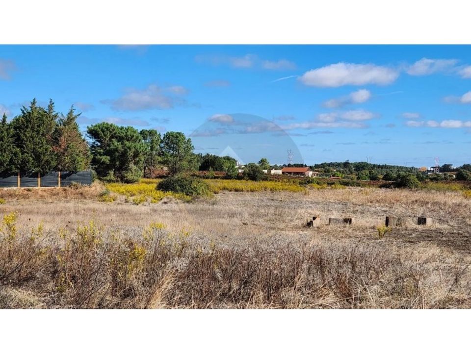 Farm i Palmela, Setubal - foto 3