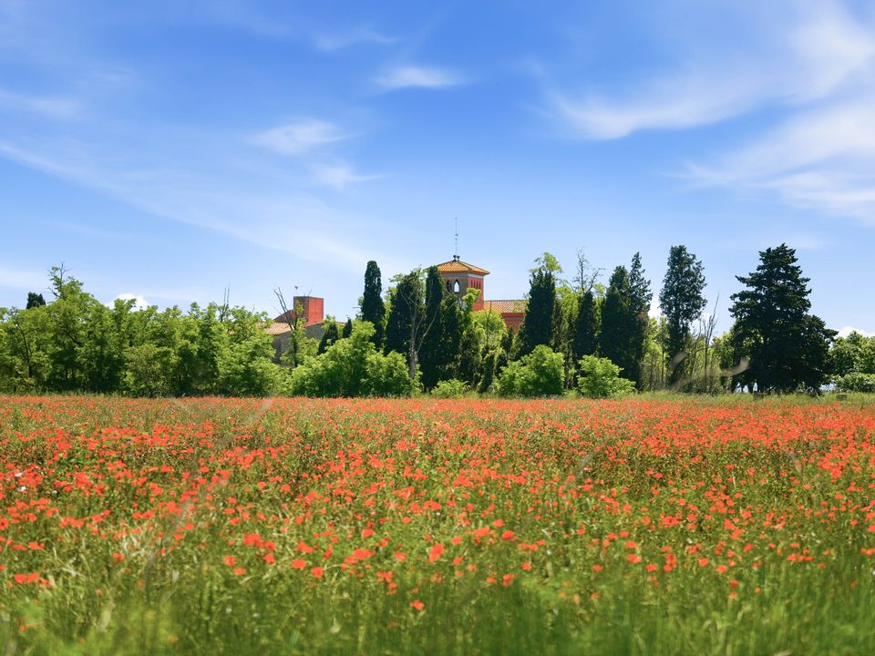Cortijo i Castello D'empuries, Gerona - foto 1