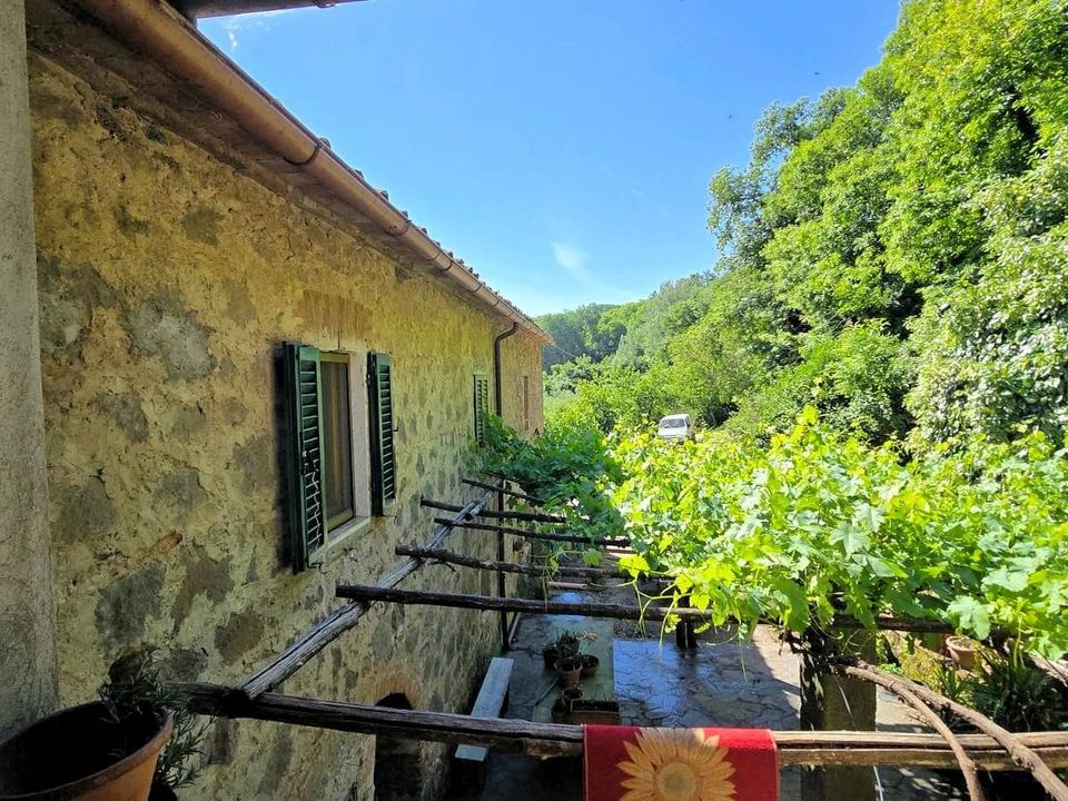Landejendom i Roccastrada, Grosseto - foto 5