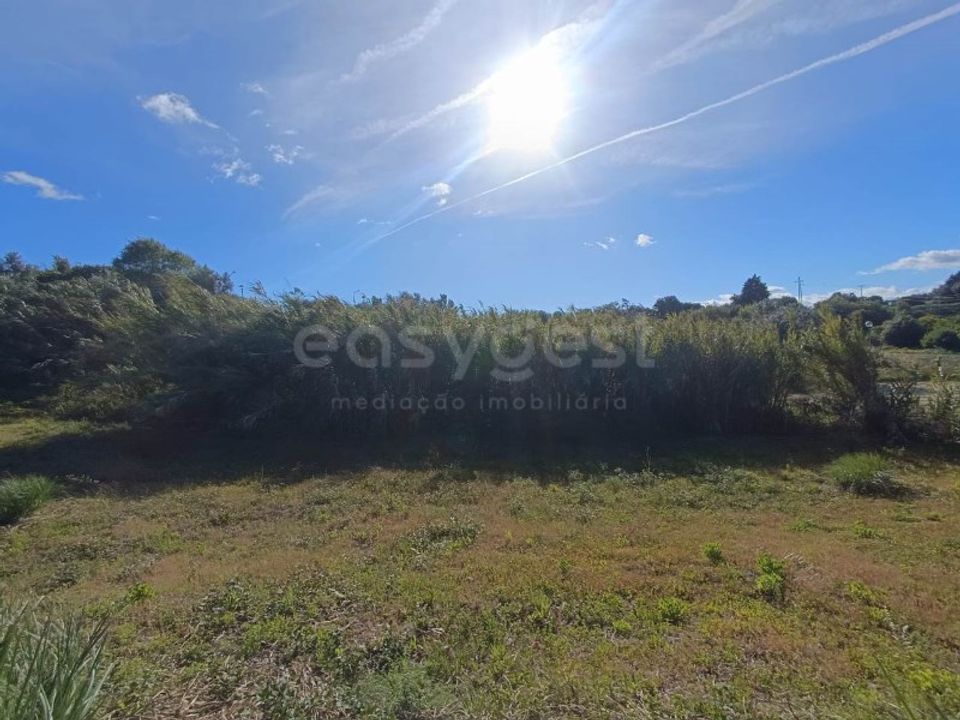 Helårsgrund i Torres Novas, Santarem - foto 4