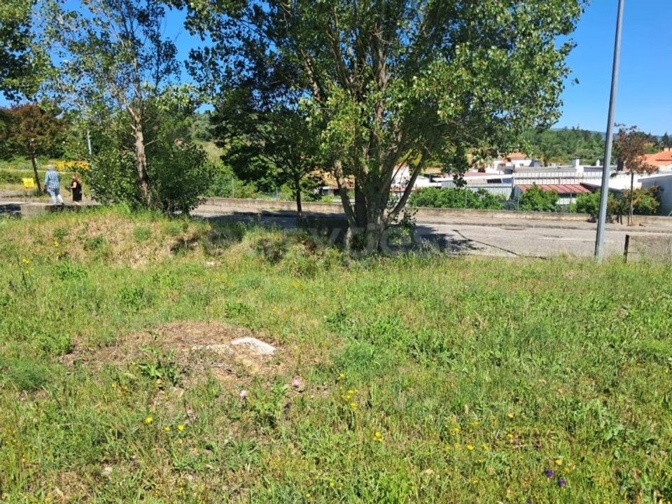 Helårsgrund i Torres Novas, Santarem - foto 3