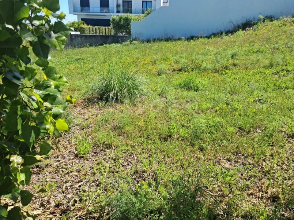 Helårsgrund i Torres Novas, Santarem - foto 3