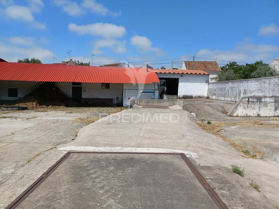 Farm hus i Ponte de Sor, Portalegre - foto 3