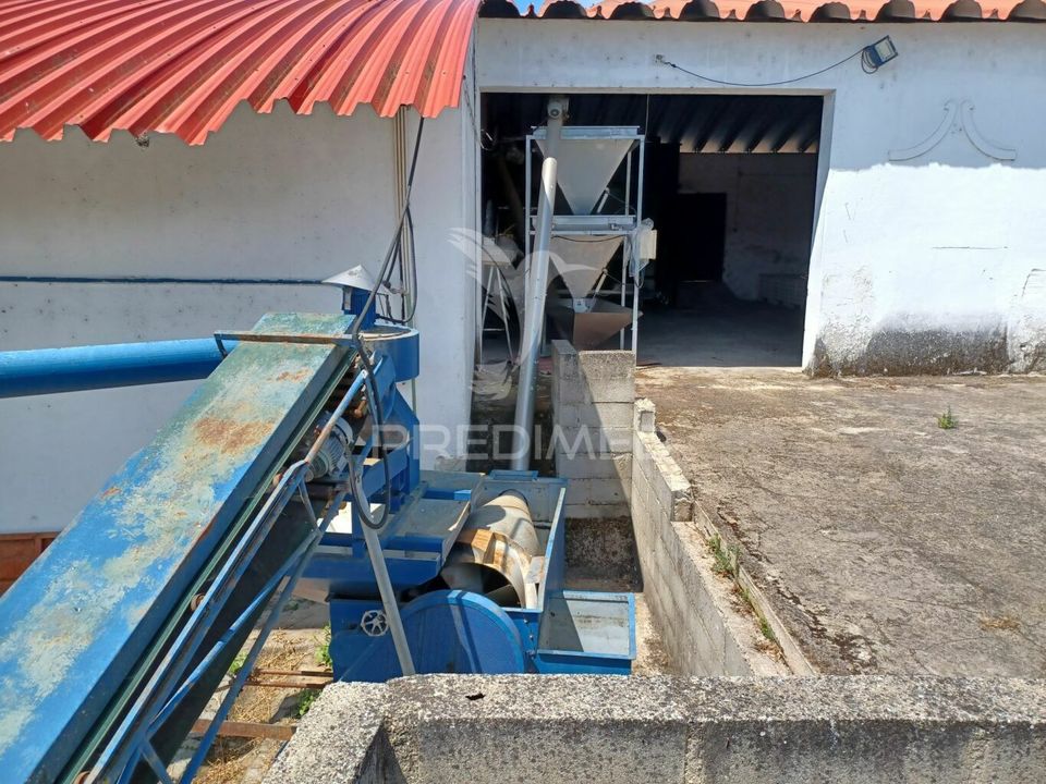 Farm hus i Ponte de Sor, Portalegre - foto 5