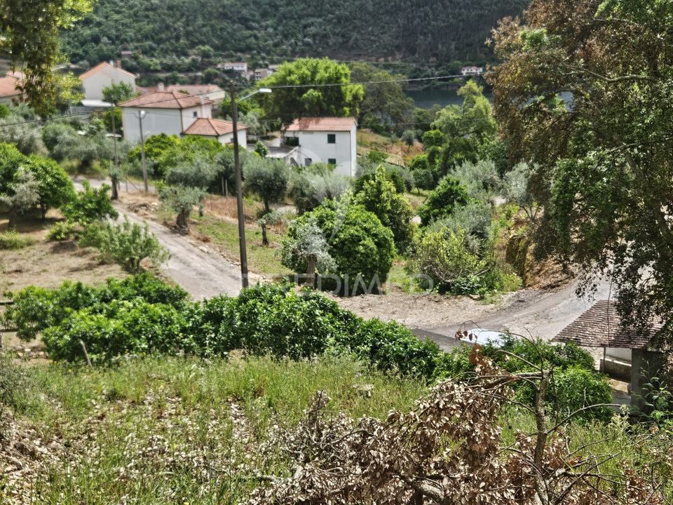 Helårsgrund i Ferreira do Zezere, Santarem - foto 4