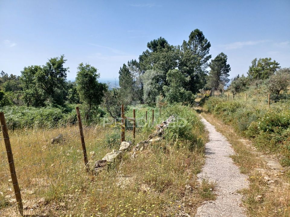 Helårsgrund i Portalegre, Portalegre - foto 3