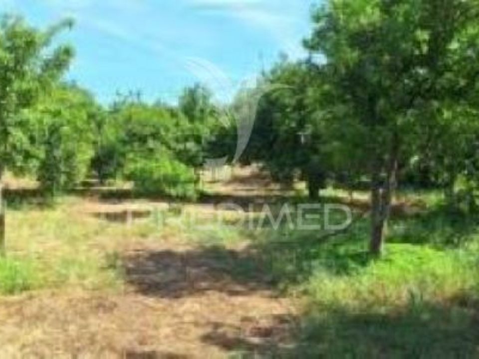 Farm hus i Vila Vicosa, Evora - foto 1