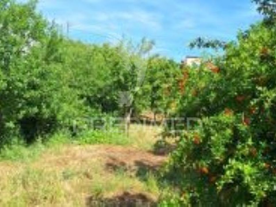 Farm hus i Vila Vicosa, Evora - foto 3