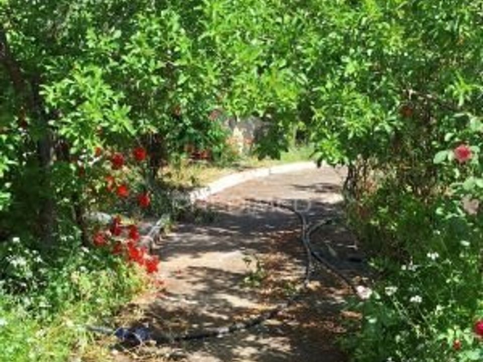 Farm hus i Vila Vicosa, Evora - foto 5