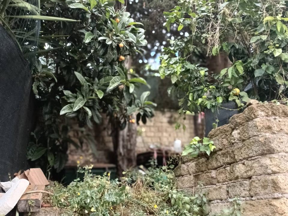 Leilighet i Moricone, Rome - bilde 4