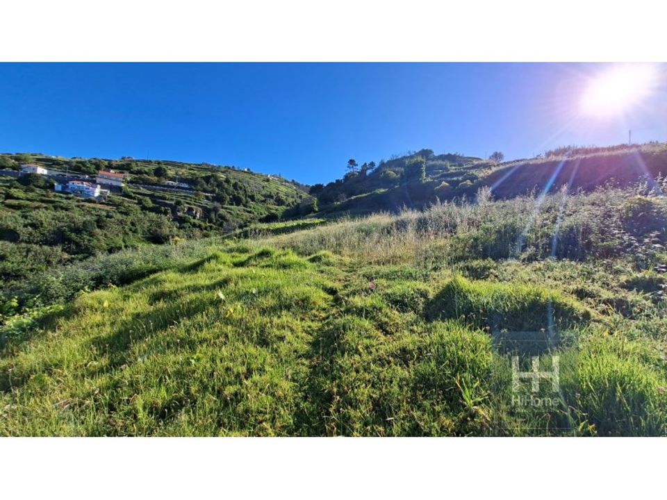 Helårsgrund i Calheta, Madeira - foto 3