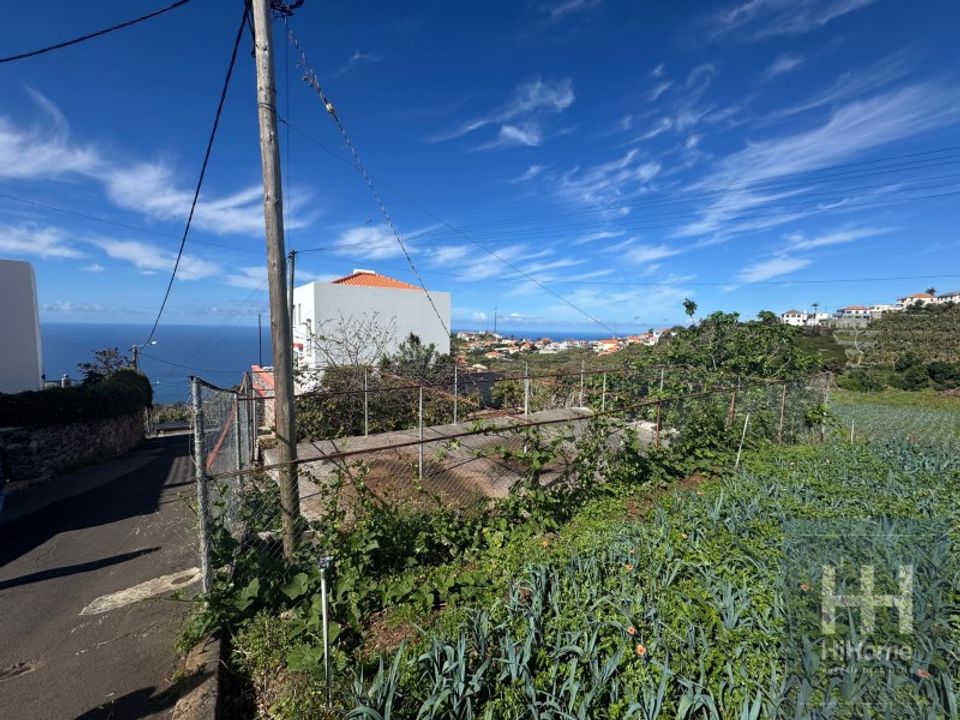 Helårsgrund i Ponta do Sol, Madeira - foto 3