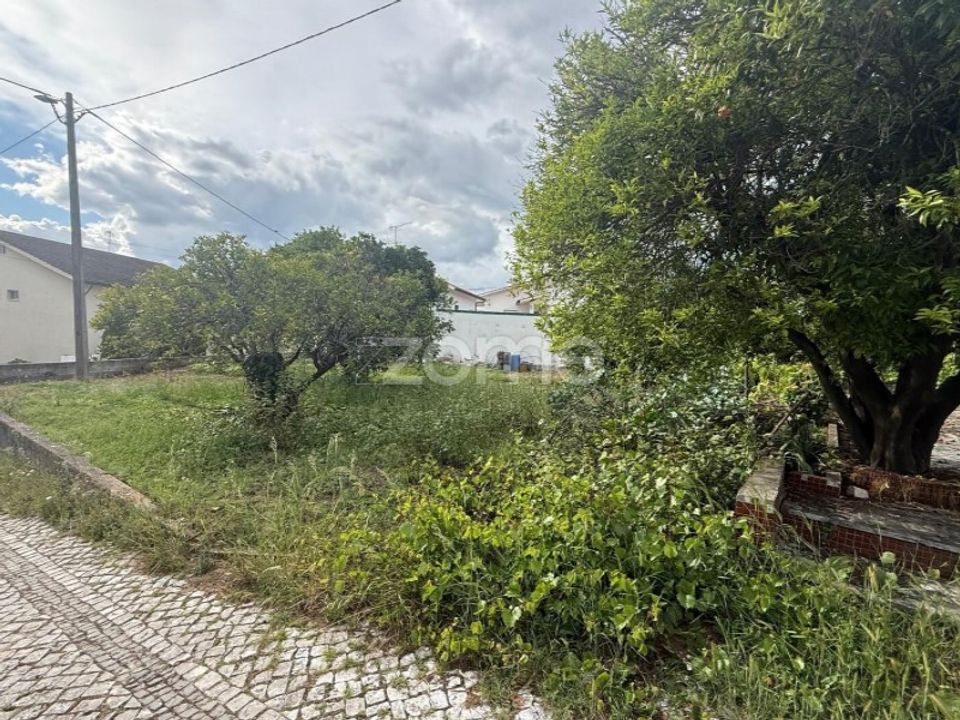 Helårsgrund i Coimbra, Coimbra - foto 4