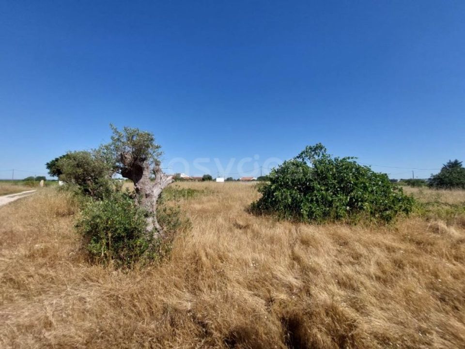 Helårsgrund i Palmela, Setubal - foto 1