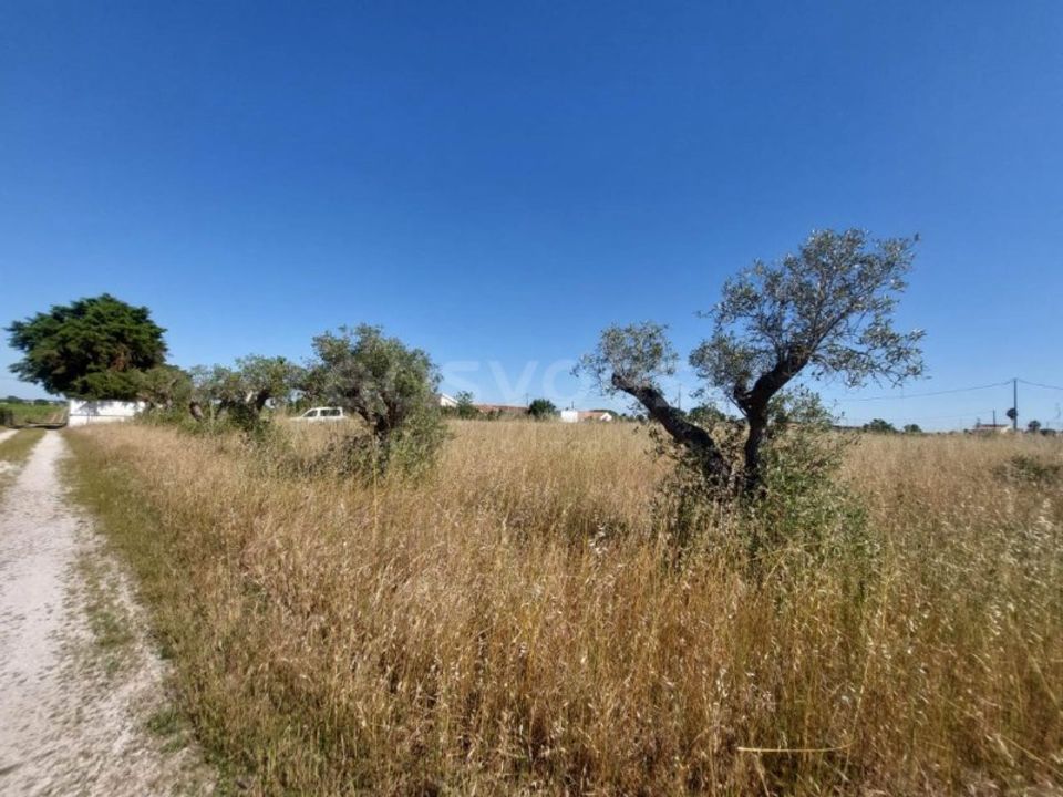 Helårsgrund i Palmela, Setubal - foto 2