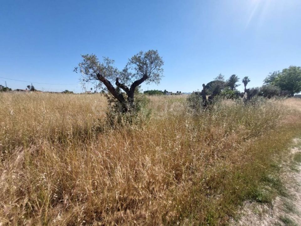 Helårsgrund i Palmela, Setubal - foto 4