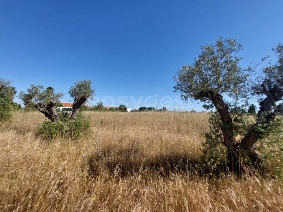 Helårsgrund i Palmela, Setubal - foto 5