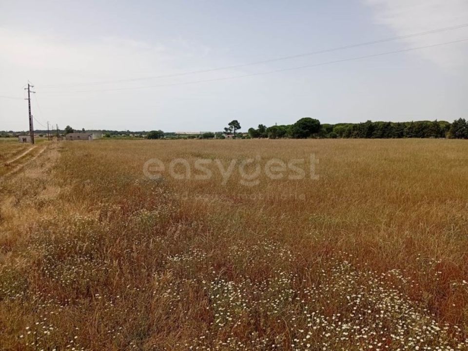 Helårsgrund i Montijo, Setubal - foto 2