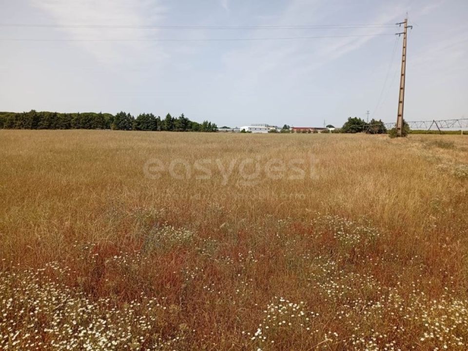 Helårsgrund i Montijo, Setubal - foto 3