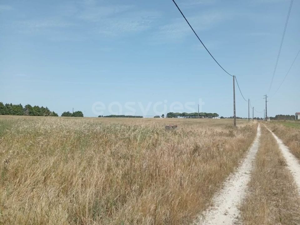 Helårsgrund i Montijo, Setubal - foto 4