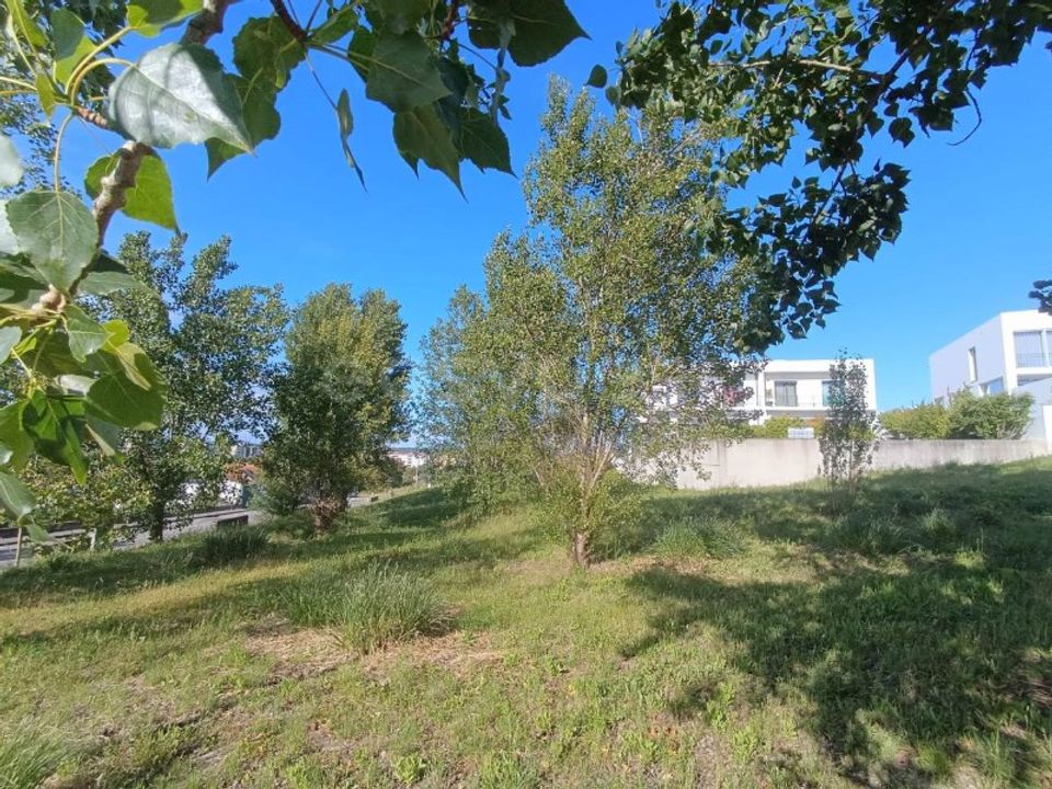 Helårsgrund i Torres Novas, Santarem - foto 4