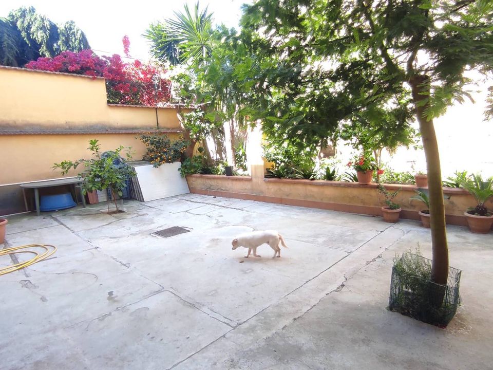 Villa i Maddaloni, Caserta - foto 4