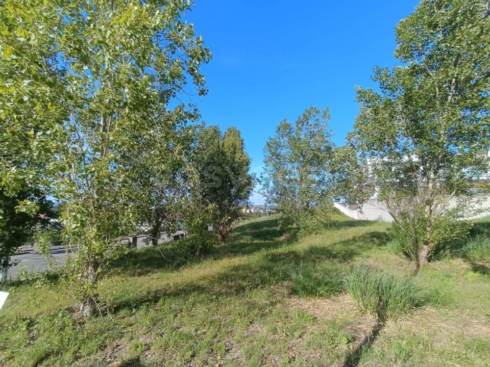 Helårsgrund i Torres Novas, Santarem - foto 5