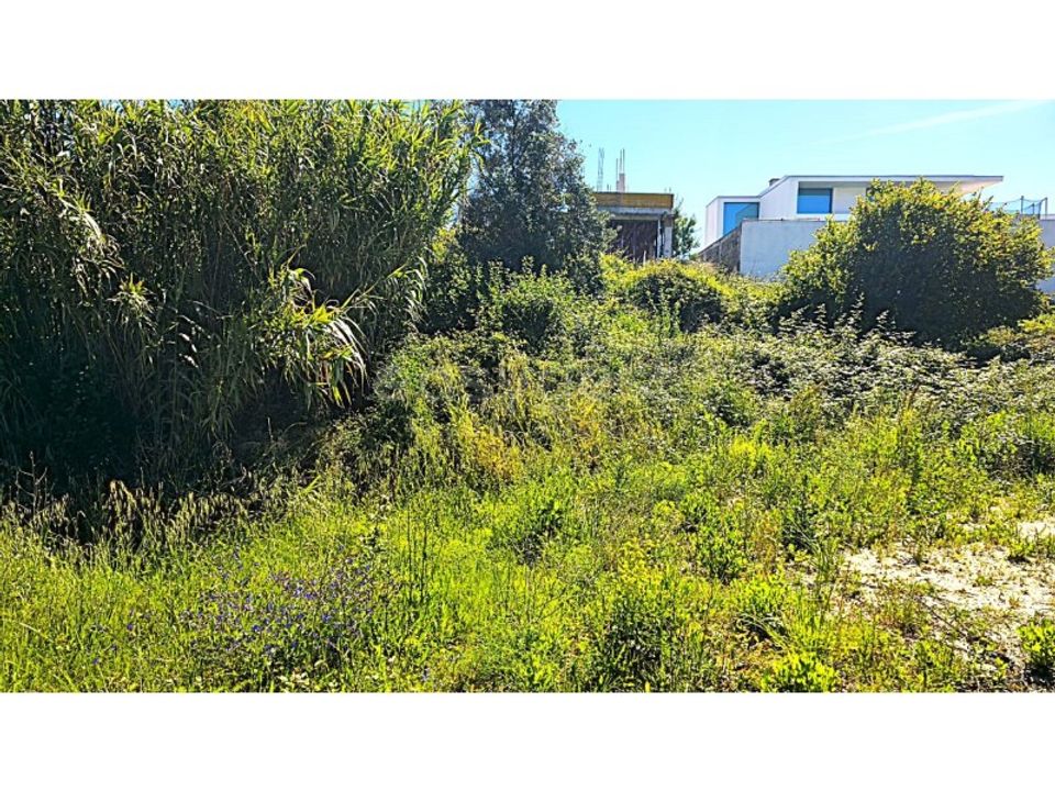 Helårsgrund i Torres Novas, Santarem - foto 3