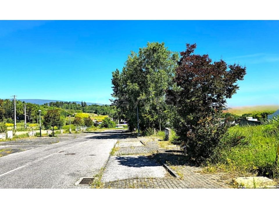 Helårsgrund i Torres Novas, Santarem - foto 4