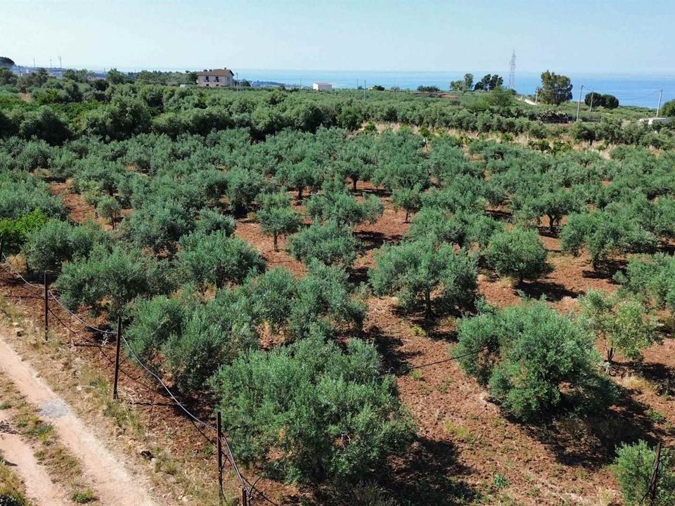 Grond in Ribera, Agrigento - foto 5