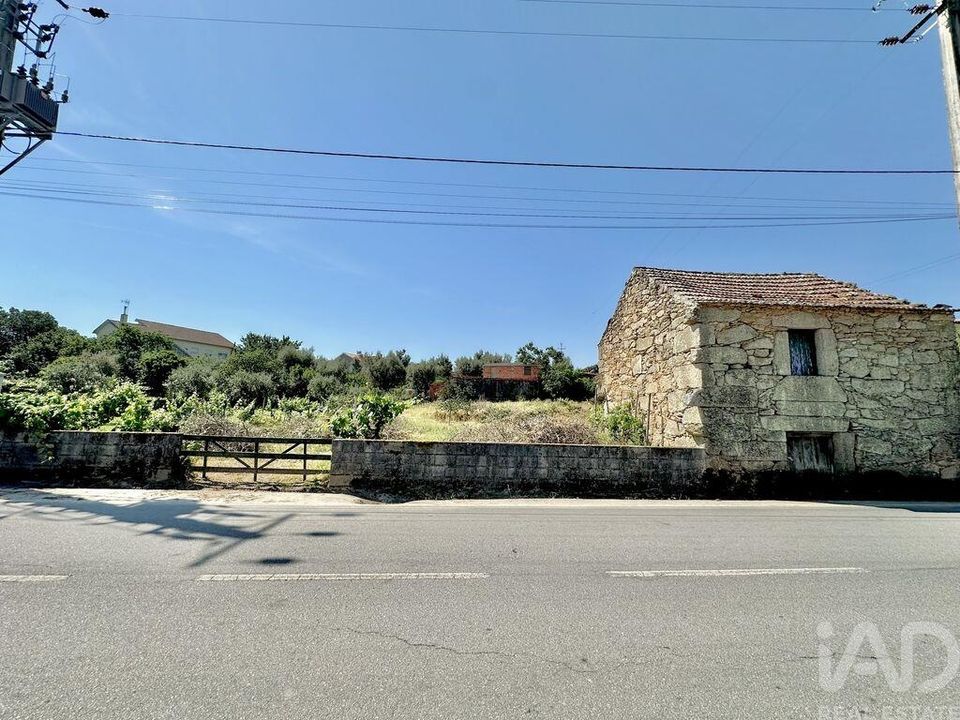 Helårsgrund i Mangualde, Viseu - foto 2
