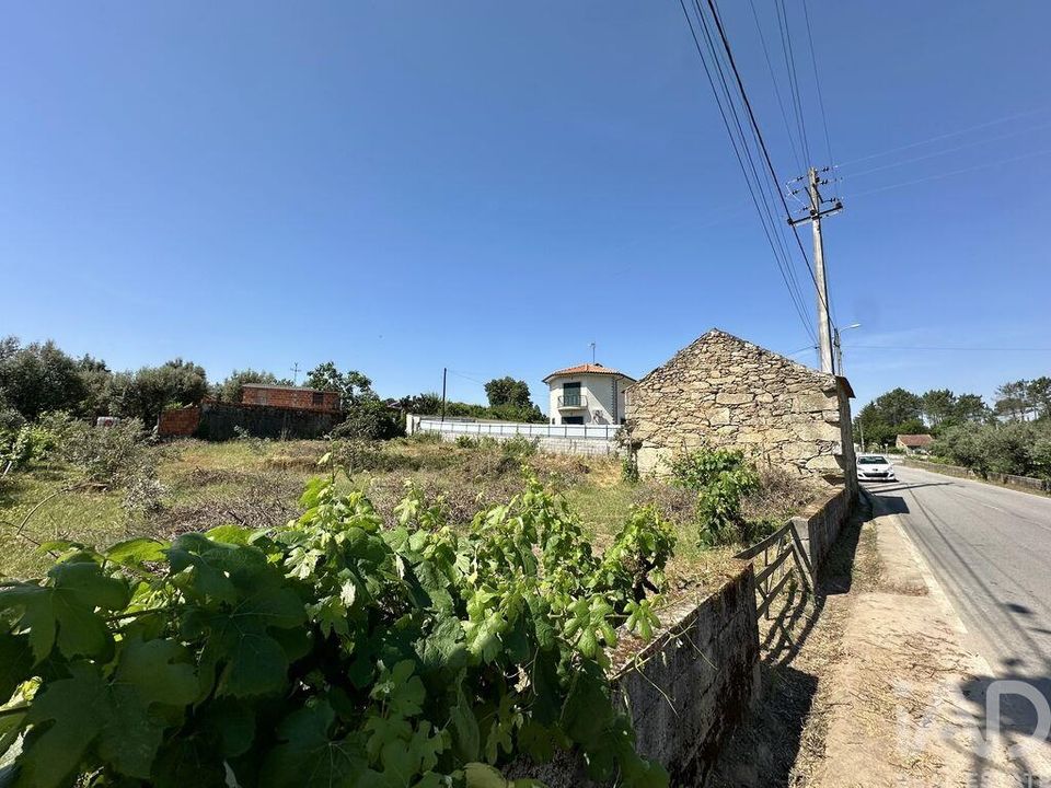 Helårsgrund i Mangualde, Viseu - foto 3