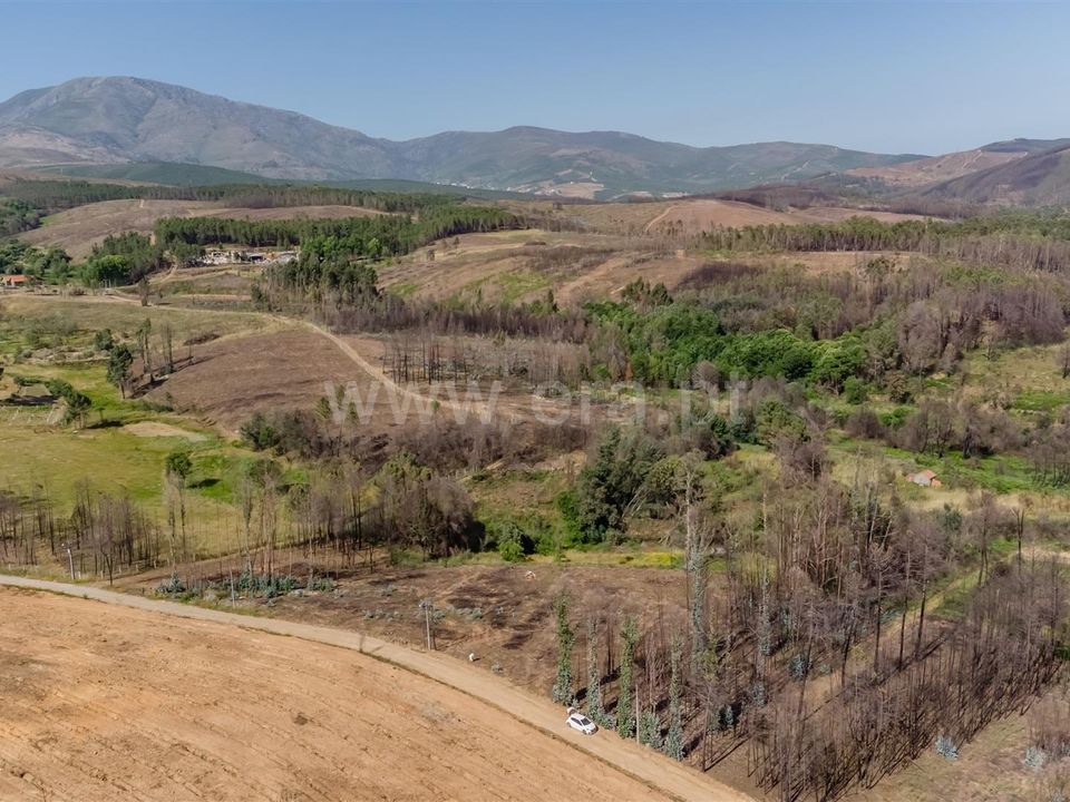 Tomt i Covilha, Castelo Branco - bilde 1