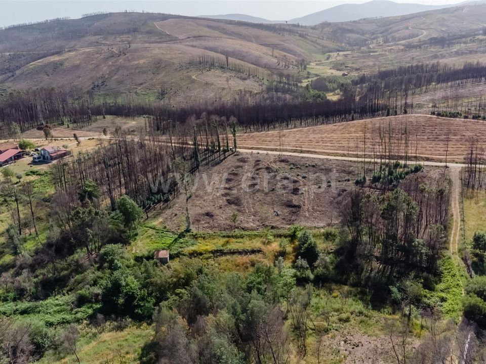 Tomt i Covilha, Castelo Branco - bilde 4