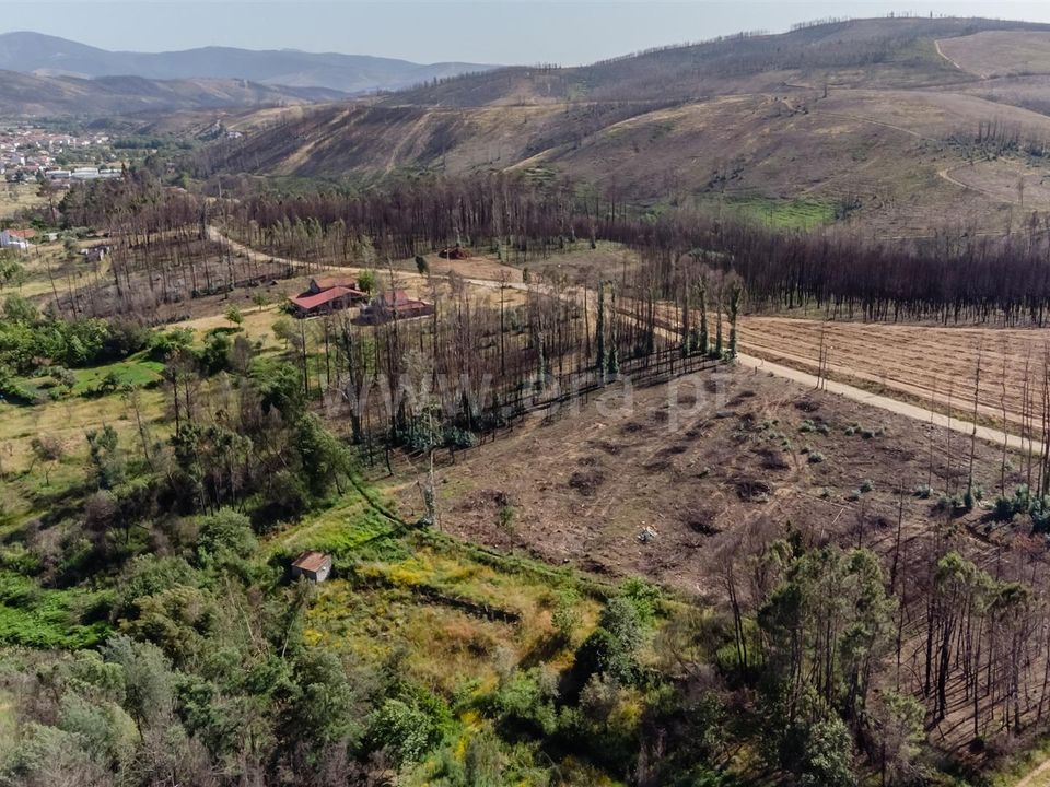 Tomt i Covilha, Castelo Branco - bilde 5