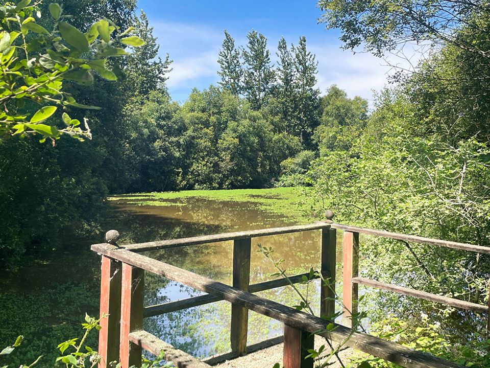 Villa i Callac, Cotes-d'Armor - foto 4