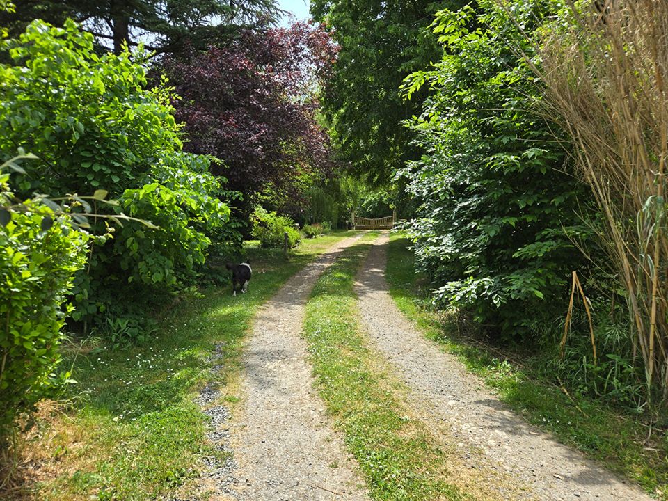 Villa i Villemort, Vienne - bilde 2