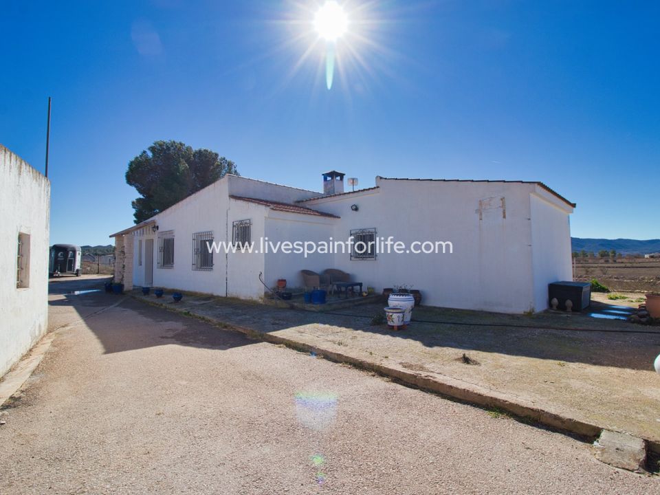 Landejendom i Monovar, Alicante - foto 3