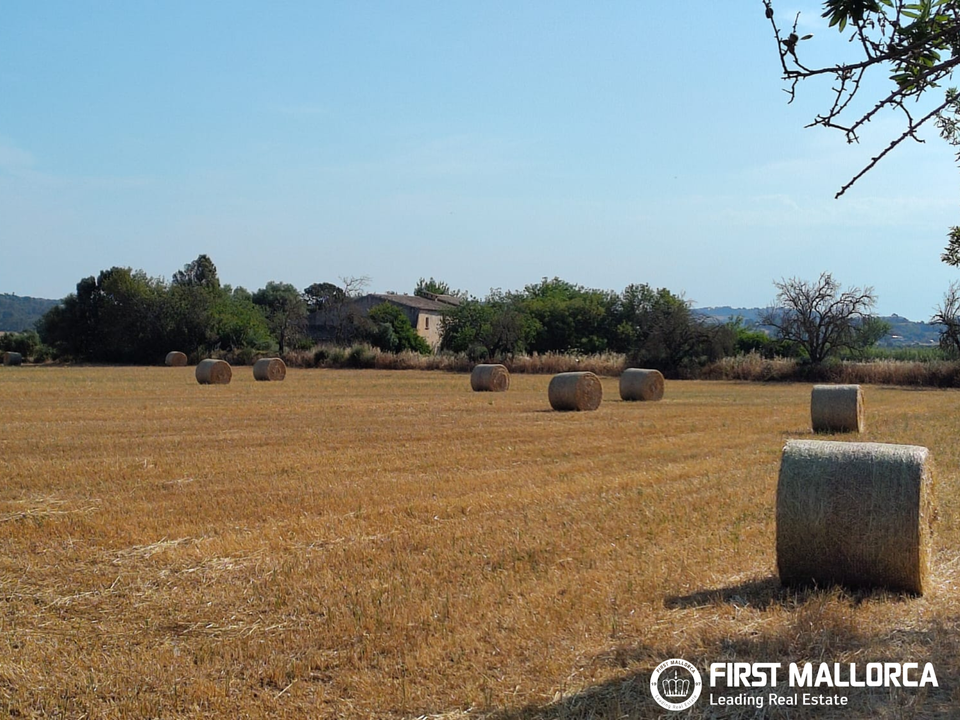 Finca in Algaida, Mallorca - foto 1