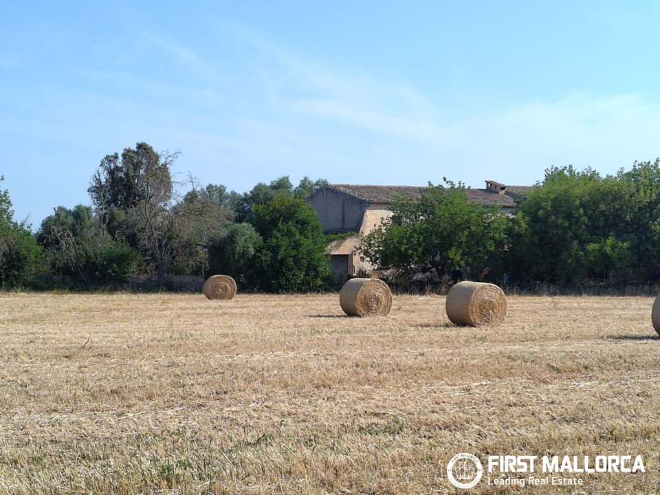 Finca in Algaida, Mallorca - foto 4
