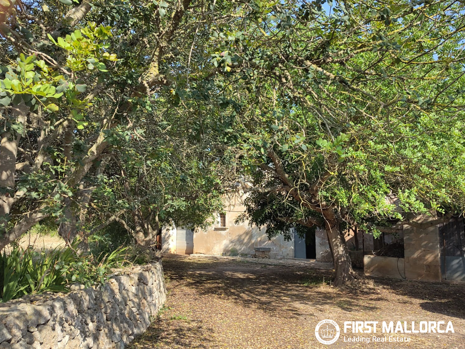 Finca in Algaida, Mallorca - foto 5
