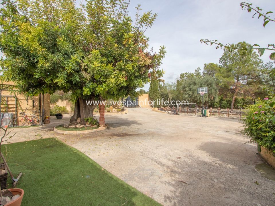 Landejendom i Crevillent, Alicante - foto 4