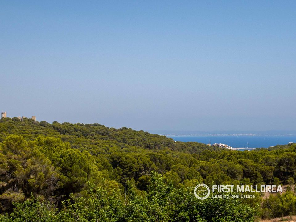 Villa i Palma De Mallorca, Mallorca - foto 1