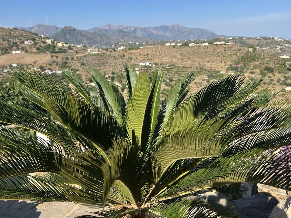 Villa i Torrox, Malaga - foto 3