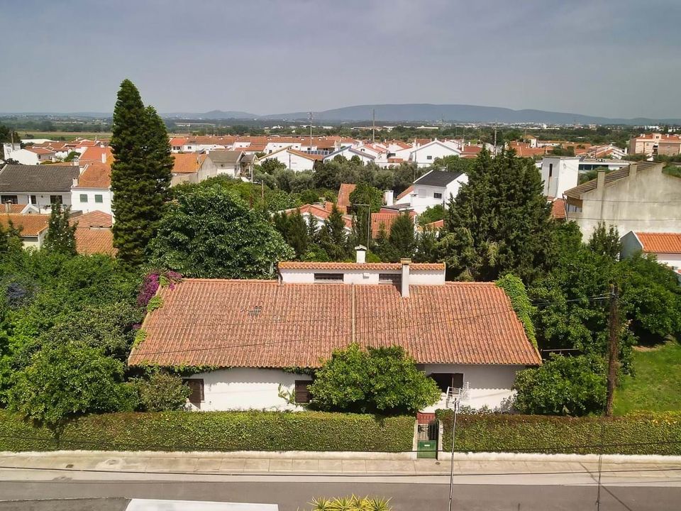 Villa i Golega, Santarem - bilde 2