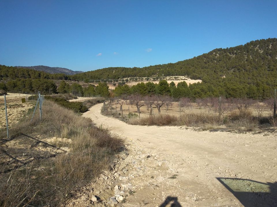 Finca i Bullas, Murcia - foto 5