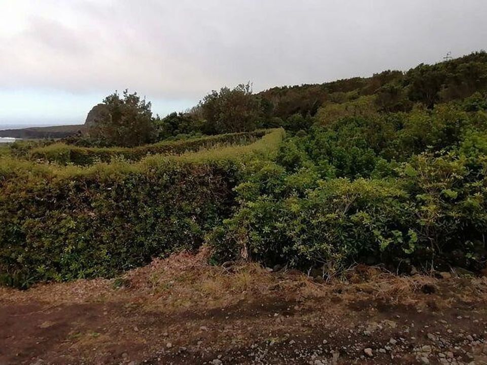 Helårsgrund i Lajes do Pico, Pico - foto 4