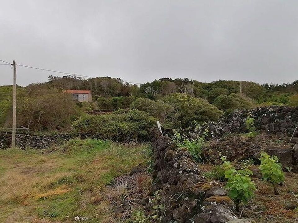 Helårsgrund i Lajes do Pico, Pico - foto 5