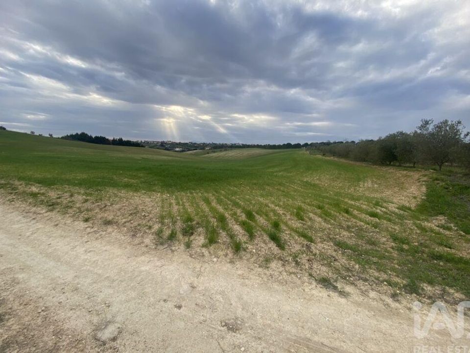 Terra a Santarem, Santarem - foto 5