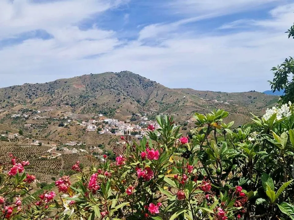 Landejendom i El Borge, Malaga - foto 3